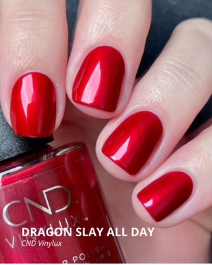 DRAGON SLAY ALL DAY